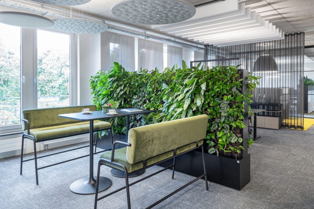 Casual by Bene in green